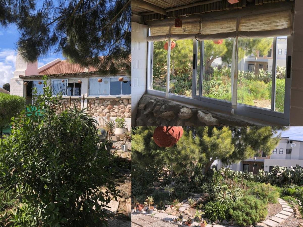 Wild Aloe Apartment